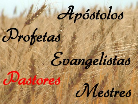 Os cinco ministérios da igreja Efésios 4:11-13